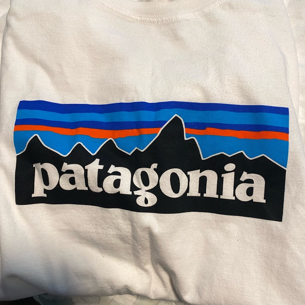Patagonia T-shirt